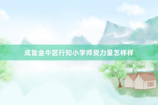 成皆金牛区行知小学师资力量怎样样